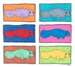 thumbnail of 6 colorful manatee