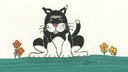 thumbnail of Black and White Cat