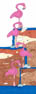 thumbnail of Flamingos in a waterfall