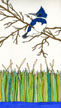 thumbnail of a Kingfisher