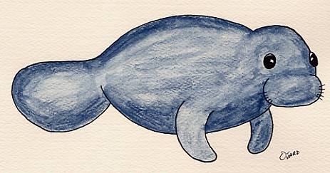 thumbnail of Manatee