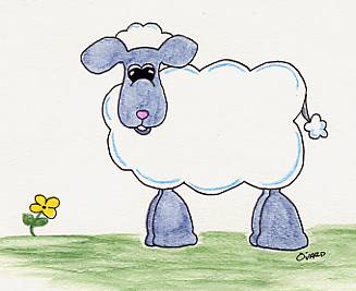 thumbnail of Sheep standing